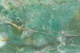 Polished Fuchsite Chert (Dragon Stone) Slab - Australia #89970-1